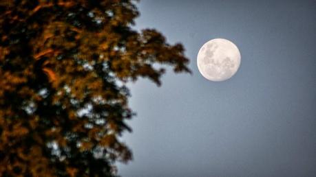 XX UAC Corrientes – Un encuentro de tierra, luna, fuego y agua XX UAC Corrientes – Un encuentro de tierra, luna, fuego y agua
