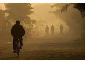 Vengo deshacer sueño (revisitado)