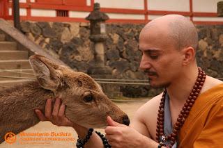 Entre el estupor y el asco