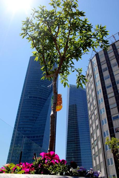 A-cero Projects ‘El Jardín de mi Hospi’ ya es una realidad