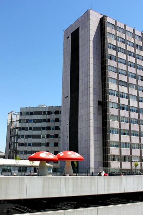 A-cero Projects ‘El Jardín de mi Hospi’ ya es una realidad