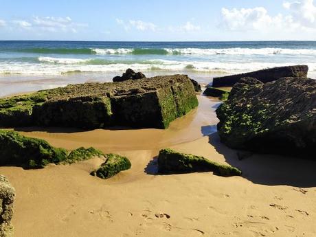 Algarve. Mayo de 2013. Vila do Bispo. Praia do Beliche