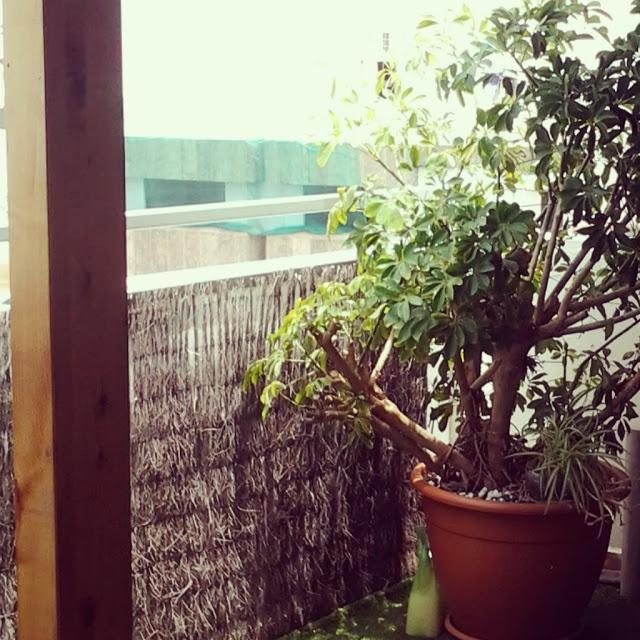 Experiencia para los sentidos