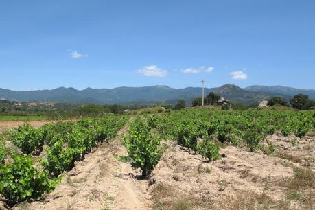 Els estanys de Martí Fabra