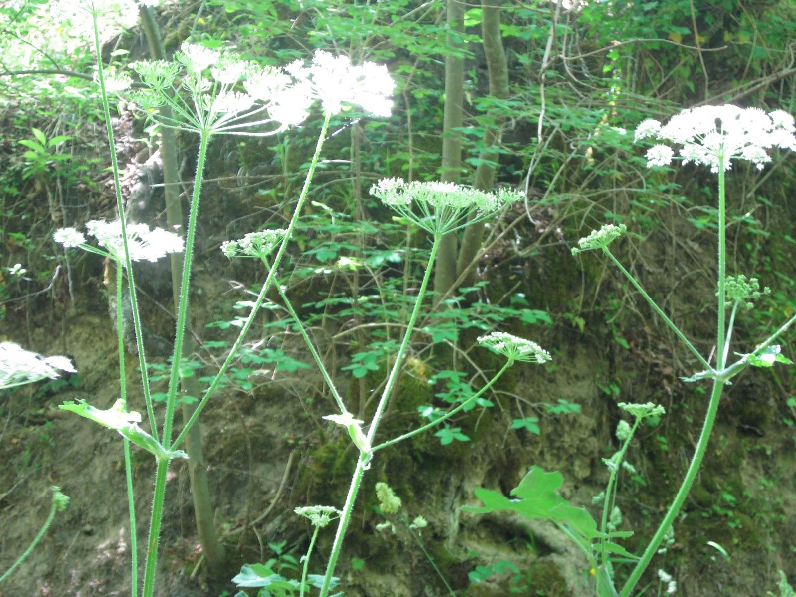 ¿Quién 'puede' encontrar reposo en un mundo barroso?