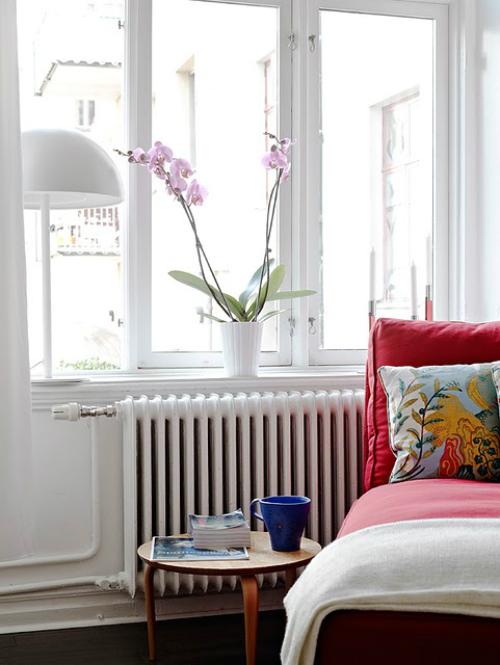 Rincon de lectura con encanto