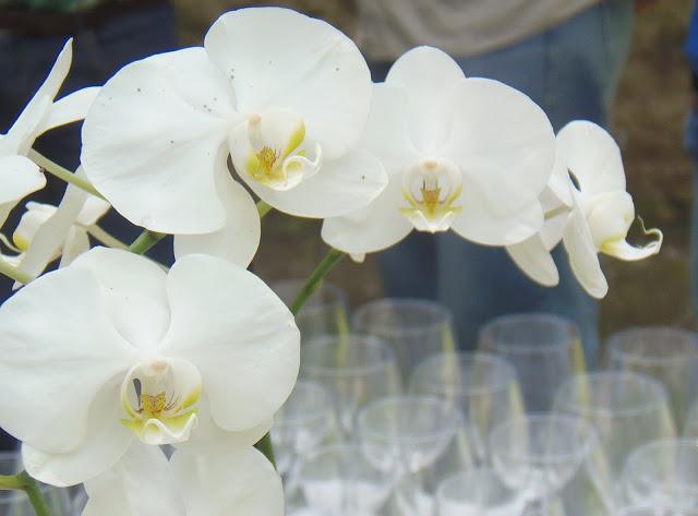 CATA DE PRODUCTOS EN LA SIERRA DE SALAMANCA