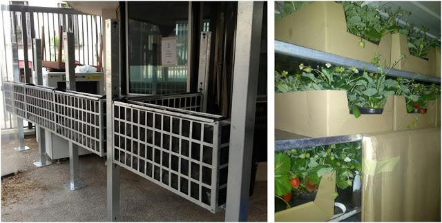 'Arcadia' de Miguel Moreno Mateos. Casa Decor 2013