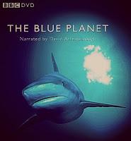 Champiñones Rebozados con Parmesano y Finas Hierbas.