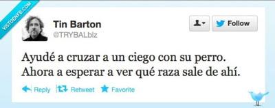 PENSAMIENTOS EFÍMEROS EN LA RED