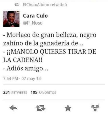 PENSAMIENTOS EFÍMEROS EN LA RED