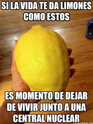 PENSAMIENTOS EFÍMEROS EN LA RED