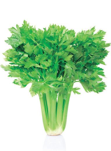 propiedades del apio