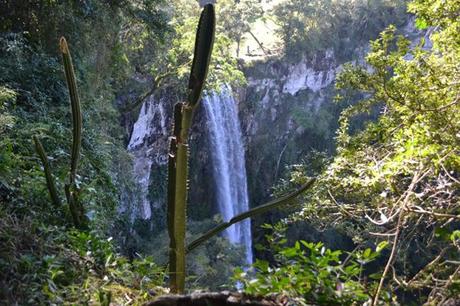 Los mejores parques de Misiones
