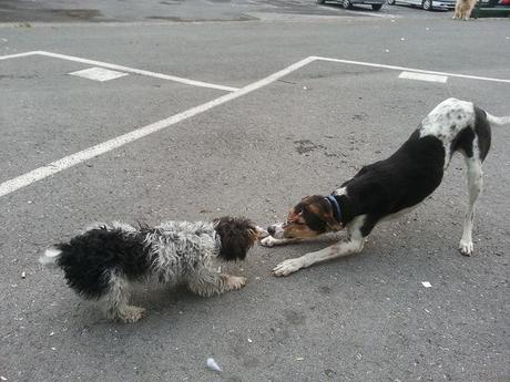 Androidografia Barakaldo 1405