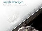 tienda recuerdos perdidos, Anjali Banerjee
