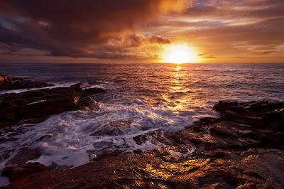 POESÍA: COBIJADA EN TU REGAZO