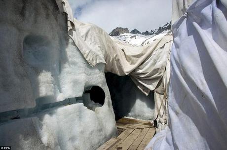 En imágenes: protegen del calor con mantas blancas a uno de los glaciares más antiguos Único: Los científicos también han hecho un largo túnel en el hielo para sus propios fines de investigación, y dar a los visitantes una visión completamente única en la vida bajo el glaciar