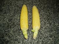 COMIDA RAPIDA (Maiz a la parrilla)