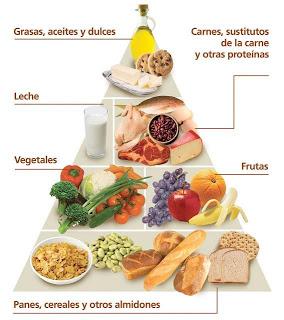 ¿Qué es hacer una dieta?