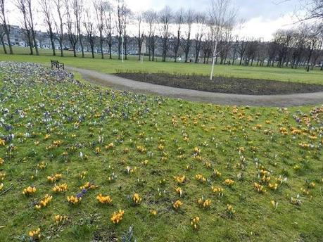 Viviendo entre Bruntsfield y Morningside