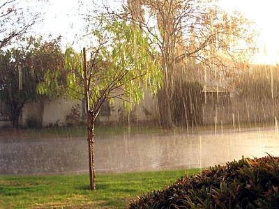 El libro, la lluvia y la pijama