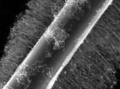 Compuestos avanzados fibra carbono