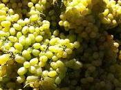 ¿cómo vivir años través alimentación?