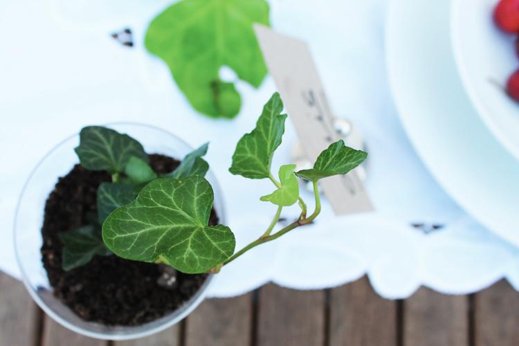 macetitas a todo color...!