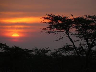 ¡¡¡FELIZ VERANO!!!