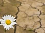 Disciplina Esperanza