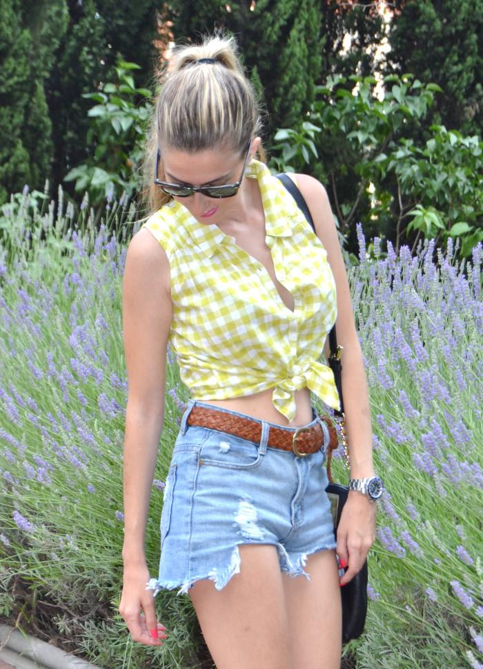 High waisted shorts and cropped shirt