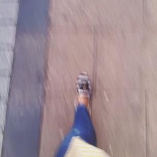 Snapshots of the week 5 Snapshots of the week 5