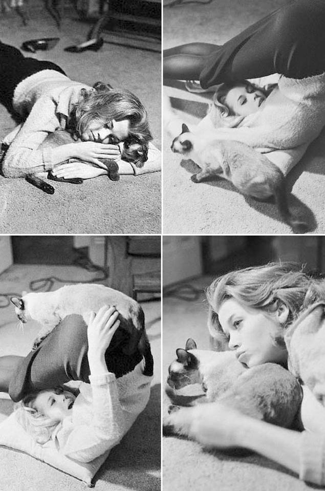 Jane Fonda Jane Fonda