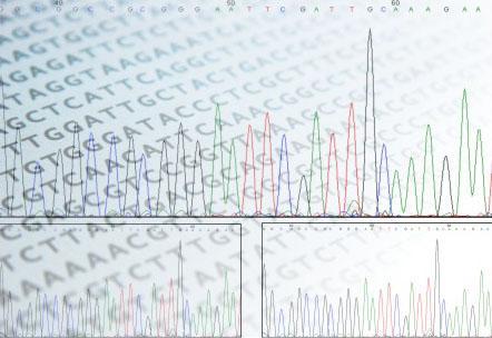 Secuenciación by AcercaCiencia