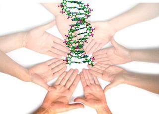 Los genes tienen dueño by AcercaCiencia