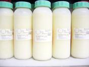 Banco de leche materna de Cataluña