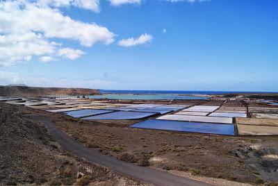 TIMANFAYA, HERVIDEROS, SALINAS Y EL GOLFO