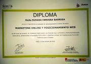 DIPLOMA MARKETING ONLINE Y POSICIONAMIENTO WEB
