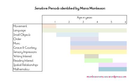Chart Sensitive Periods Montessori