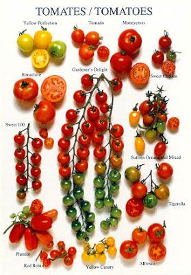 ¿Cual es la Fruta más Popular del Mundo?