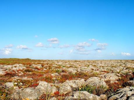 Algarve. Mayo de 2013. Sagres. Fortaleza de Sagres