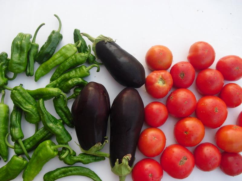 LA ACTIVIDAD EN EL HUERTO EN JUNIO