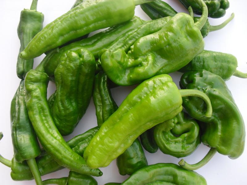 LA ACTIVIDAD EN EL HUERTO EN JUNIO