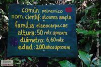 Bijagua de Upala -Heliconias Lodge and Rainforest-
