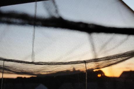 queréis ver nuestras casas?? Sí! tienen velas!