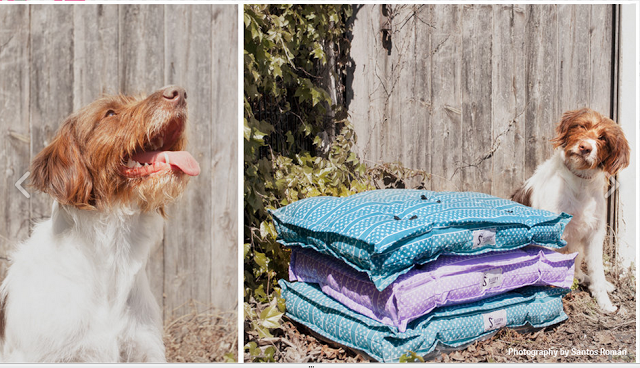 Descubrimiento para nuestros peludos SLEEPY BROWNIE