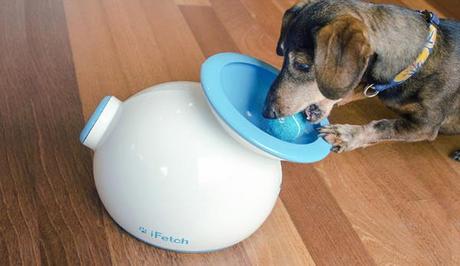 iFetch :: lanzador de pelotas para jugar con el perro