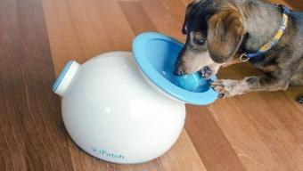 iFetch :: lanzador de pelotas para jugar con el perro