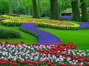 jardín mágico pensamientos